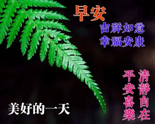 特别唯美温馨的早上好问候祝福表情包,最暖心的早晨好问候祝福语图片