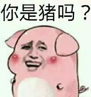 哔哩哔哩专栏