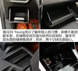 行走的表情包九龙湖试驾海马s5young
