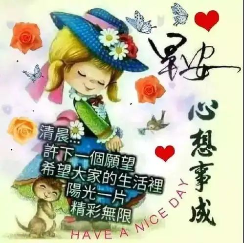 中老年表情包早安图片早上好图片表情大全中午好表情图