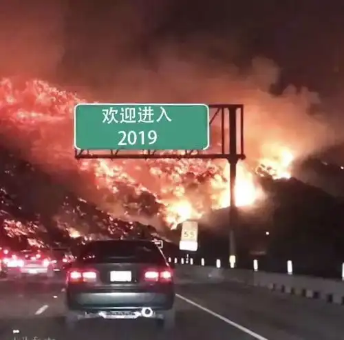 展望敦复无悔的2019年