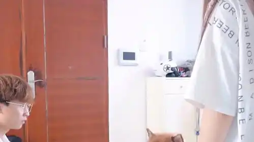 女主人过生日,阿拉斯加犬打算给女主人一个惊喜想把她感动哭