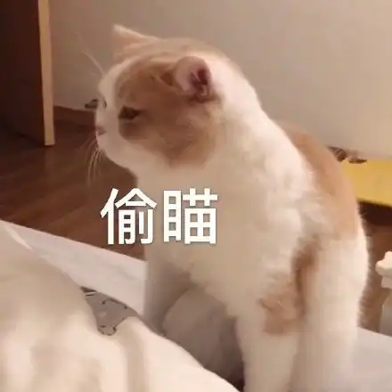 我是你爸,千变万化千变万化表情