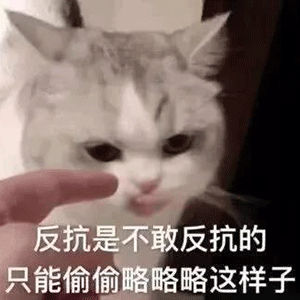 热门表情包第28期
