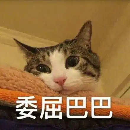 萌猫哭的表情包
