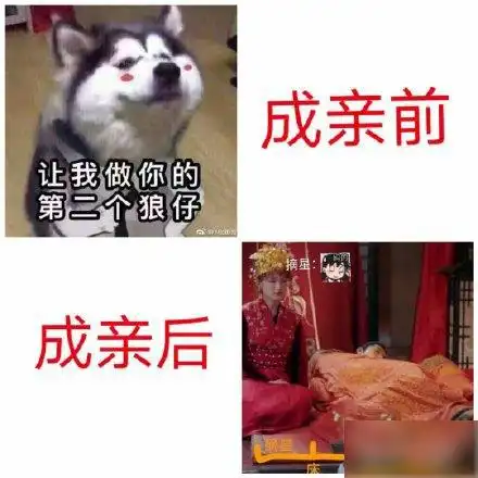 狼殿下收视率破亿,再次打脸黑粉,肖战在戏里戏外都成大赢家