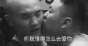 近期沙雕图
