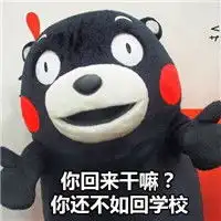 熊本熊系列搞笑猥琐表情同一个世界同一个妈