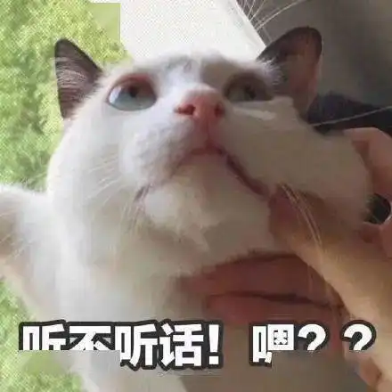 雨雨雨7级阵风五一将至,还有这些消息你一定要知道