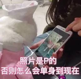 表情包网恋选我,我超甜表情包合集