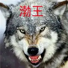 狼殿下表情包下载