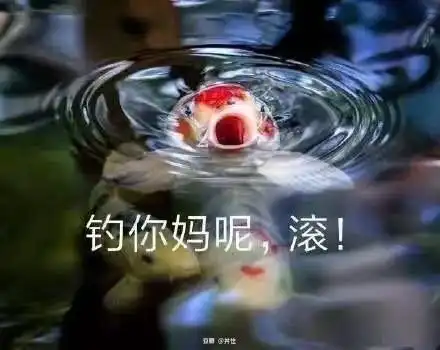 的相册骂渣男本爷专用表情包