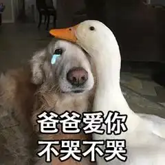 为什么别人语文总比你高关键就在这5分钟