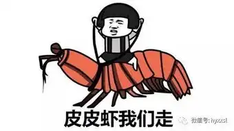 汉语文化2017年十大流行语新词语网络用语