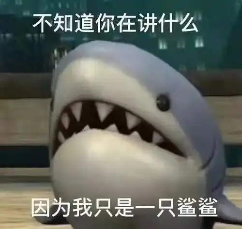 慎入我看不懂,但我确实看不懂