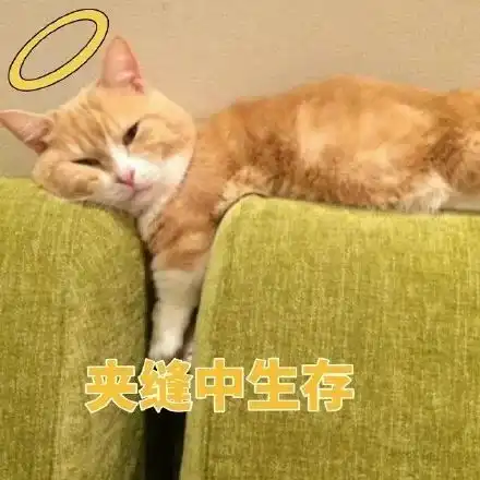 护肤届的八大迷惑行为,你信了什么邪