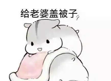 爱老婆宠老婆的表现图片表情老婆奴专用表情包