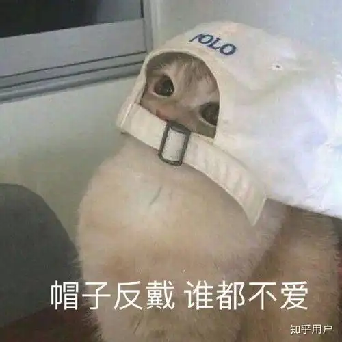 本人体毛超重,现在在蜜蜡和脱毛器中抉择,不知道哪一种适合自己请知乎大神支招