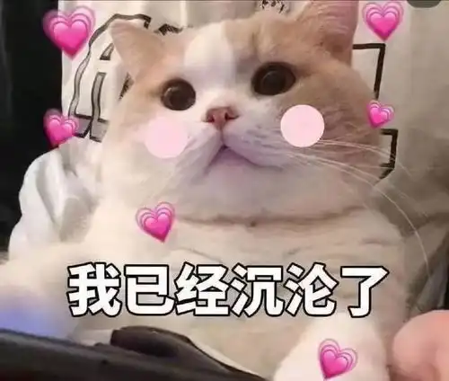 开学三个月后,据说你变成了这样