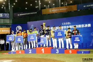 组图第二届海棒赛总决赛落幕北方工业大学成功卫冕
