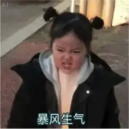 权律二女朋道歉专用表情