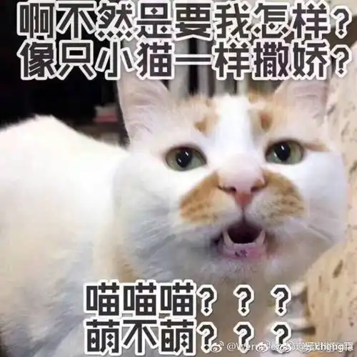 说好的咬人不咬脸呢