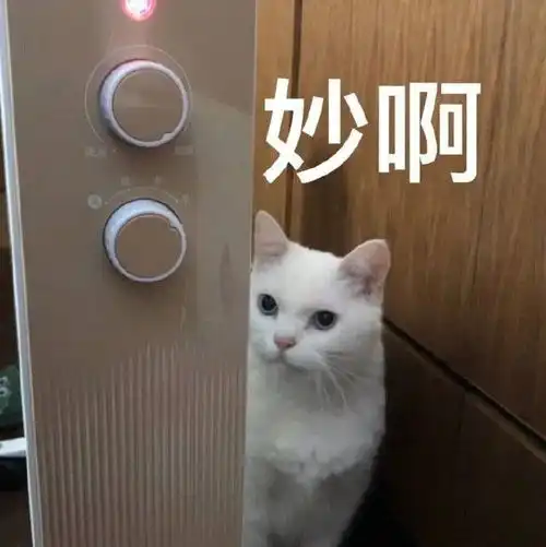 哥哥的老婆居然是室友亲妈哈哈哈你是魔鬼吗