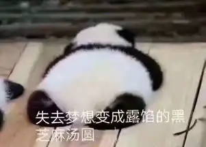 大一新生避坑指南