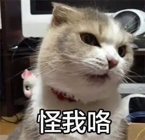 幽默段子一妹子吃完饭,对老板说老板,我没带钱,可以