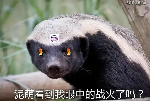 吉祥三宝悉数开张,猪哼回归edgm拿下首胜,770尴尬了