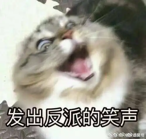 第一次去音频展,有什么须知或者是注意事项吗