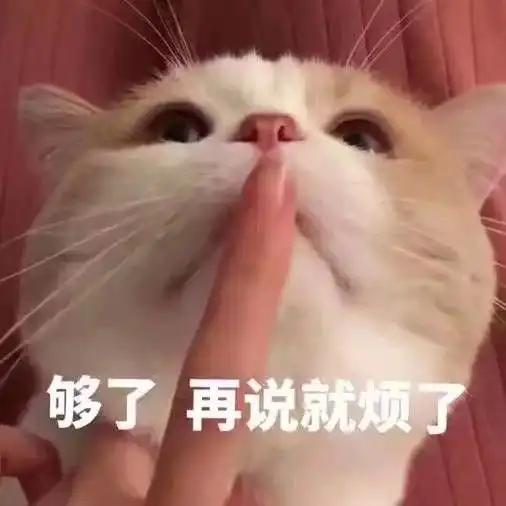 让网恋对象线下友好交流的表情包
