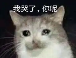 这个双11音为有你不孤单,品牌红酒免费领