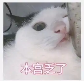 一组可爱的猫头像我要抱抱,哈哈哈