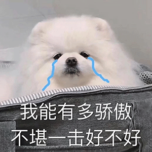 沙雕表情包l又不开腔,又不退群,难道你在等爱情