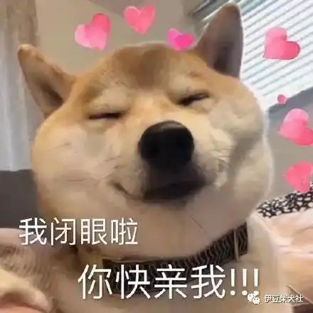 养柴犬一个月要花多少钱看完你还想养吗