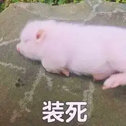 又是一年年末时,旧的flag还未完成,新的却又要立起来了
