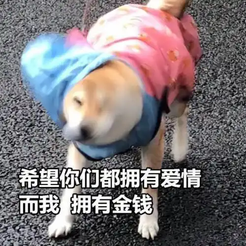 美国站发货限制解除,多个品类订单翻倍,报复性消费真的来了