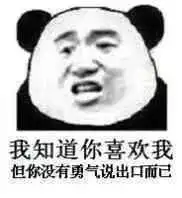 幽默搞笑表情包和我在一起吧,起码我比别人多十几斤肉爱你们