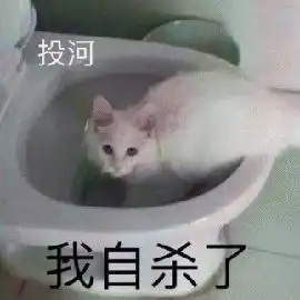 锦鲤营销过时了,阿里要送一整个仓库