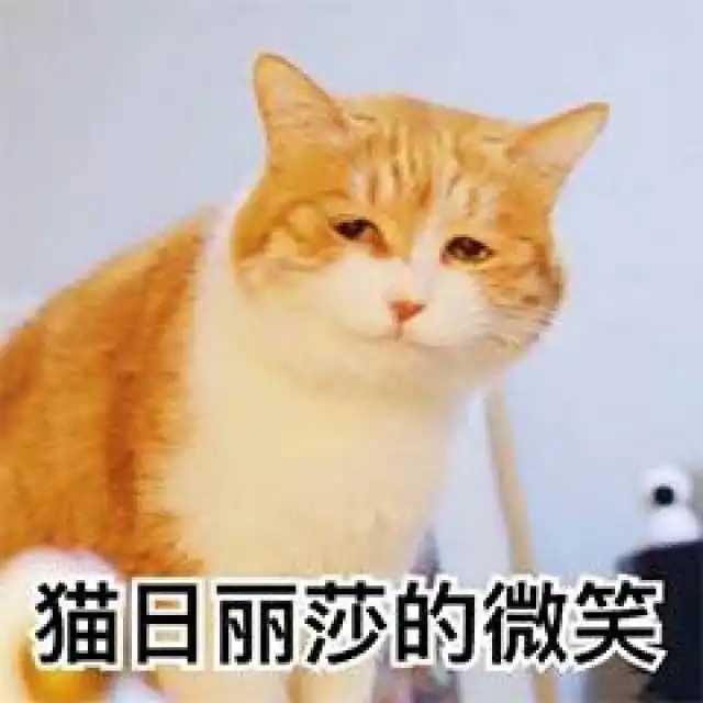 表情不应当,因为我只是一只猫咪
