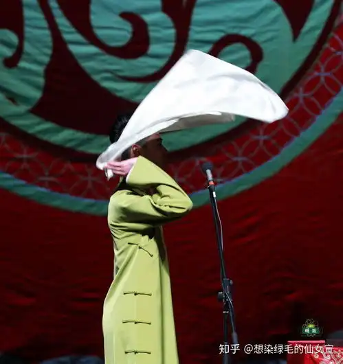 张云雷有多少件大褂,一件一张正面图