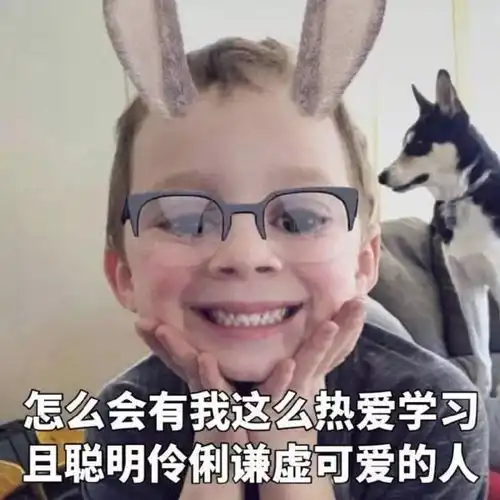 一觉醒来考试周已过半