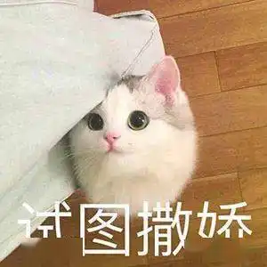 十周年冬月新服爆料逍遥百业食神即将全服上线,你的煎炸蒸煮炒练好了吗