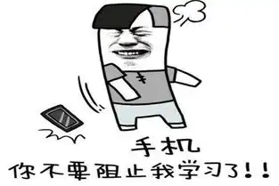 你的孩子有网瘾吗导致高中生沉迷网络的本质是什么