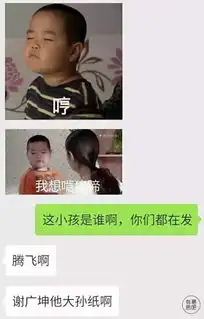 谢腾飞到底是什么飞机,竟然一夜之间让民国失宠了附送表情包