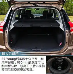 行走的表情包九龙湖试驾海马s5young