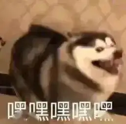 美食投稿霜降就想吃霜降牛肉