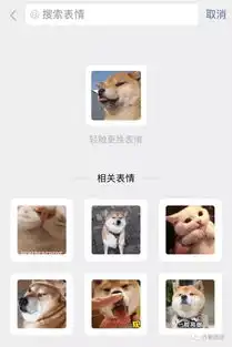 斗图方便了微信又上线新功能可以用表情搜表情