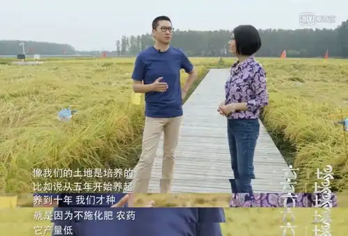 50岁尔康罕见公开私生活误会周杰的,何止林心如